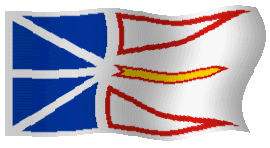 Newfoundland Flag